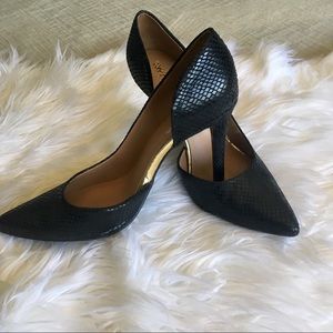 Black Snakeskin Pumps with Gold Detail